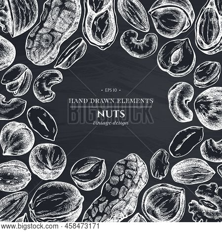Monochrome Design With Chalk Cashew, Peanut, Pistachio, Hazelnut, Almond Walnut Stock Illustration