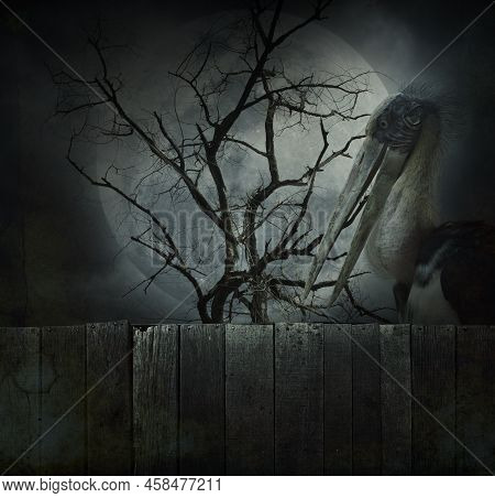 Lesser Adjutant Stork Bird Standing Over Dead Tree, Full Moon And Cloudy Spooky Sky, Halloween Myste