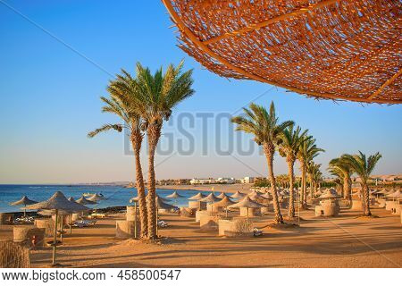 Idylic Beach With Palms And Sun Umbrelas, Red Sea, Egypt