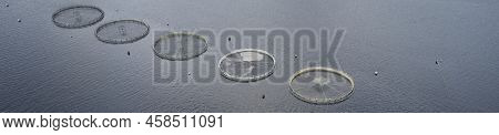 Fish Farm Salmon Round Nets In Natural Environment Loch Fyne Arygll And Bute Scotland