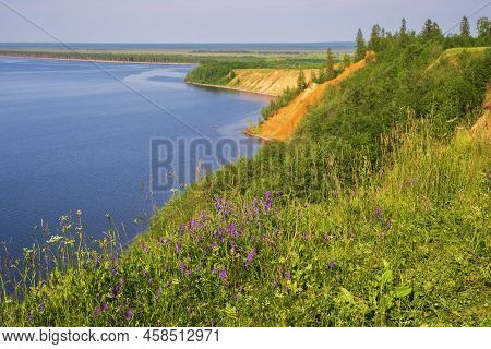 Meadow And Flowers View Of Cape Andoma And Mountains On Lake Onega In The Republic Of Karelia Russia