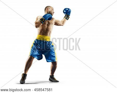 Professional Box Figter Isolated On White Background