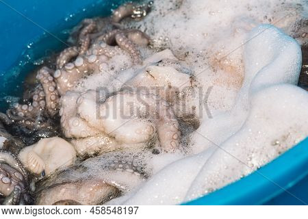 Fisherman Slamming And Softening A Big Raw Fresh Octopus In A Plastic Tank On The Pier Of The Port O