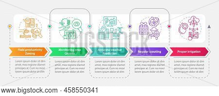 Increased Crop Yield Factors Rectangle Infographic Template. Data Visualization With 5 Steps. Editab