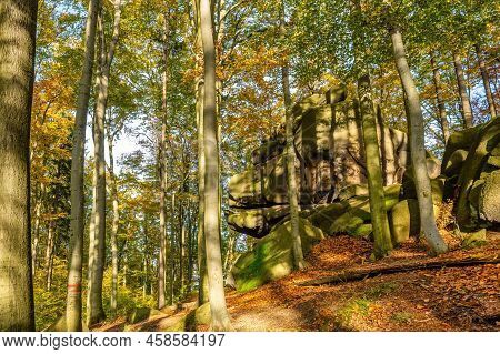 Autumn Time Colorful Beechwood Of Jizera Mountains