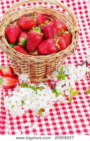 strawberry in basket and spring  flowers
