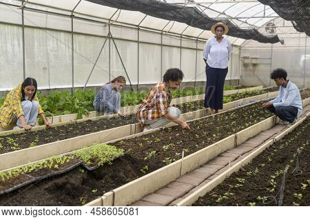 Group Of Students And Teacher Learning Agriculture  Technology In Smart Farming , Education Ecology 