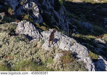 View Of The Mountains Near Valldemosa In Mallorca (balearic Islands)