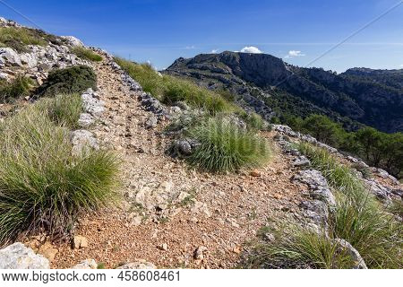 View Of The Mountains Near Valldemosa In Mallorca (balearic Islands)