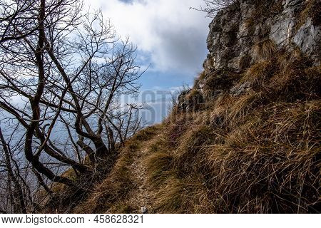 2022 02 20 Cogollodelcengio Path Between Rocks And Trees