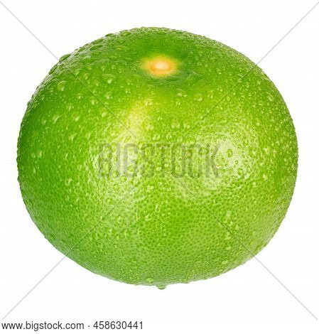 Citrus Sweetie Or Pomelit, Oroblanco Isolated On White Background Close-up. Field With Clipping Path