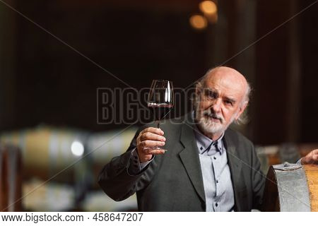 Senior Graybeard Caucasian Man Tasting White Wine In A Wine Cellar