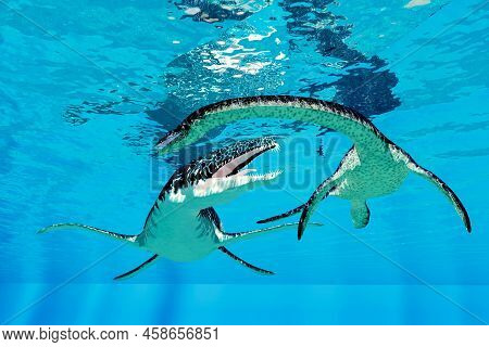 Liopleurodon Hunts Plesiosaurus 3d Illustration - A Liopleurodon Goes After A Plesiosaurus Aquatic M