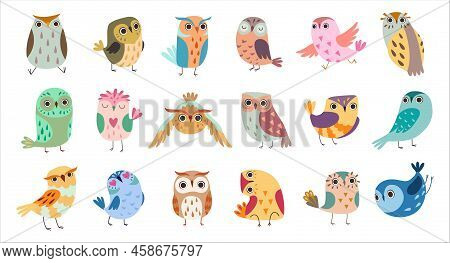 Funny Little Owl With Large Eyes And Beak As Woodland Bird With Wings Big Vector Set