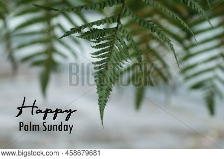Palm Sunday. Happy Palm Sunday Concept With Green Palm Leaves As Natural Frame Background. Holy Week