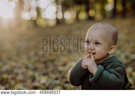 Portrait Of Cute Little Boy Wearing Knitted Hoodie In Nautre, Autumn Concept.