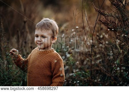 Portrait Of Cute Little Boy Wearing Knitted Sweater In Nautre, Autumn Concept.