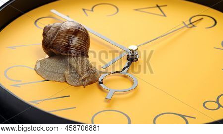 The Snail Is Crawling On The Clock Face. Selective Focus.