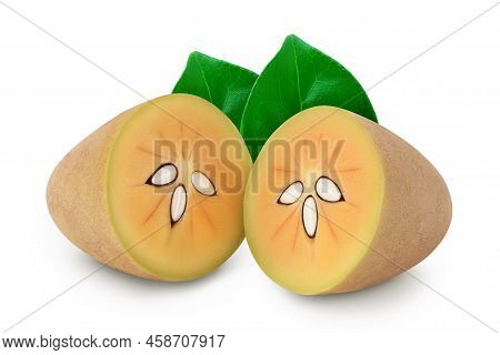Sapodilla Isolated On White Background With Full Depth Of Field