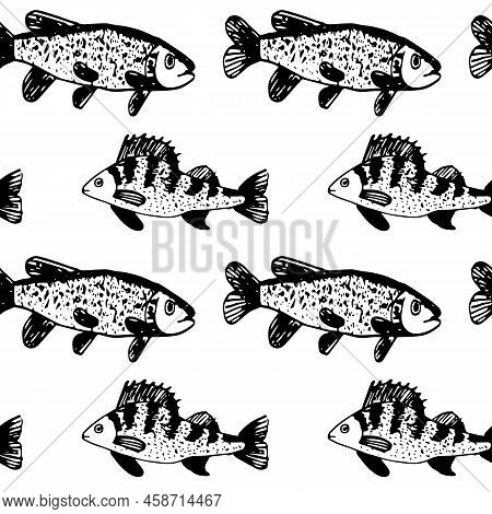 Seamless Vector Black Pattern Of Ruff Fish .
