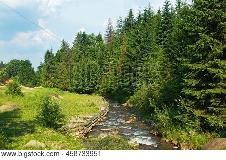 The Mountainous Small River Flows From The Mountains Along The Fir-tree Forest In The Mountains In T