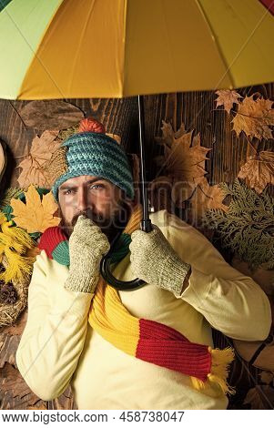 Leisure In Park. No More Rain. Time To Rest. In Love With Nature. Any Weather Is Good. Bearded Man A