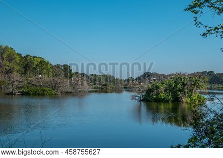 In The Distance Are Several Different Species Of Birds And Storks Nesting In The Trees And Bushes On