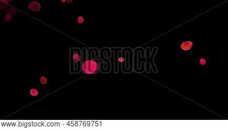 Blood Cells, Erythrocytes, Red Blood Cells, Microbes And Microorganisms, Medicine And Biology, Blood