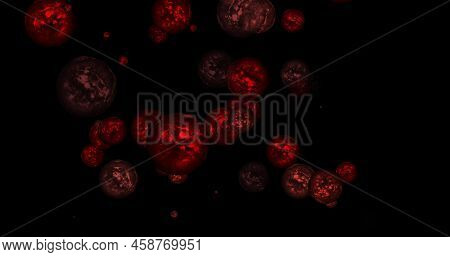 Red Balls And Circles, Water Microbes And Microorganisms, Medicine And Biology, Blood Microscope Clo
