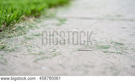 Grass Clippings Strewn Across A Residential Sidewalk After Mowing.