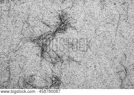 Grass Clippings Strewn Across A Residential Sidewalk After Mowing.