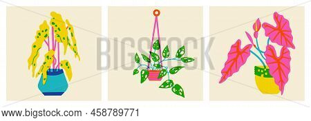 Houseplant In A Pot. Set Of Flowers In Trendy Risograph Print Texture Style. Hand Drawn Graphic Of S