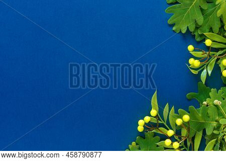 Autumn Oak And Rowan Branches With Red Berries On Blue Background.
Flat Lay, Top View, Copy Space Co