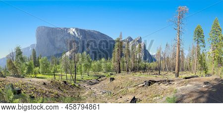 Scenic View To Yosemite Valley With El Captan And Half Dome, Usa