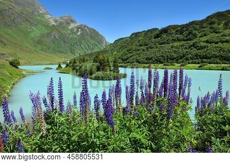 Lake Zeinissee Near Galtur With Turquoise Water And Blue Lupines, Austria