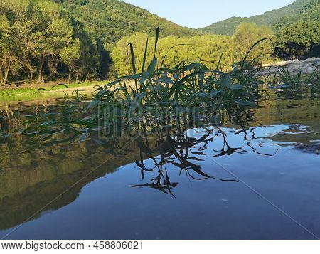 Clear Scenery By Tangyu Lake In Xi'an, China