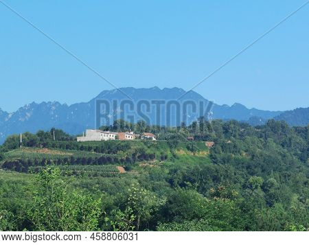Ecological Mountain Forest Scenery And Natural Scenery Of Alpine Meadows In Qinling Mountains, Shaan