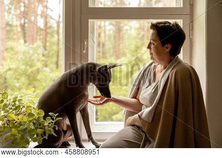 Middle Age Beautiful Woman Sitting On Windowsill With Her Dog. 50-year-old Woman Spending Time With 