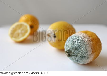 Blue Mold On Yellow Lemon. Spoiled Rotting Fruit With Mold On A White Background. Blue-green Mold On