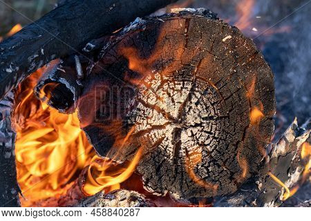 Burning Firewood, Burnt Stump On Fire, Beautiful Burnt Wood Pattern, Wood Texture, Rings