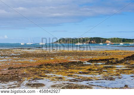 Low Tide At Dodds Creek Beach - Flinders, Victoria, Australia