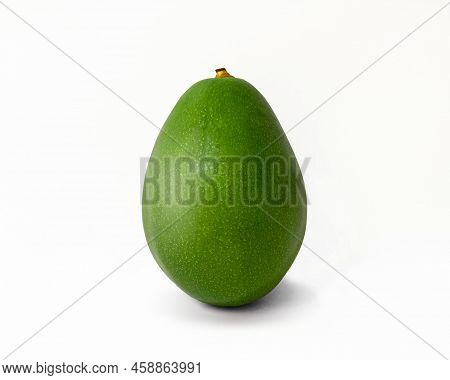 One Green Avocado Stand On White Background