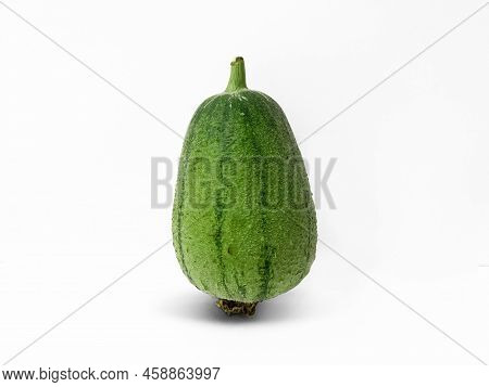 Fresh Green Luffa Stand On White Background