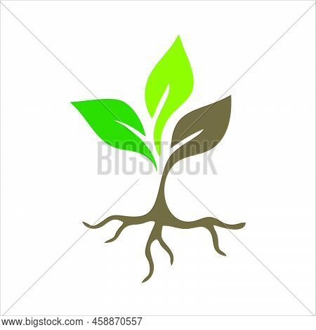 Plant Icon Isolated On A White Background From The Ecology Collection. Crop Icon Thin Line Line Line