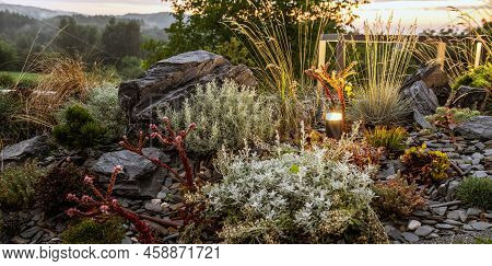 Modern Led Illuminated Rockery Garden Panoramic Photo. Landscaping And Gardening Industry Theme. Res