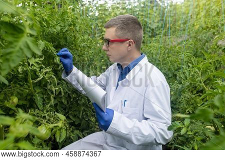 Plant Disease Agronomist. Junior Agricultural Scientists Research Greenhouse Plants And Look For A W