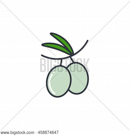 Olive Color Line Icon Vector Illustration. Oil Food Product Fruits Olives On Branch Isolated Object.