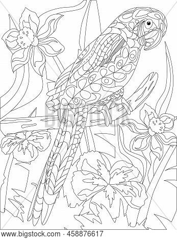 Coloring Book Page With Standing On Tree Parrot With Different Flowers In Background. Sheet To Be Co