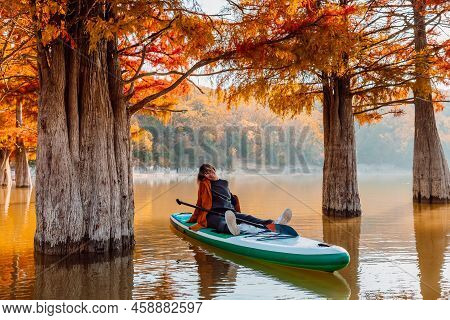 Traveller Woman Smile And Relax On Stand Up Paddle Board At The Lake Between Taxodium Trees In Autum