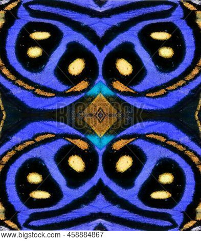 Unical Butterfly Wings Callicore Background Texture, Beautiful Pattern.work For Design And Art. Abst